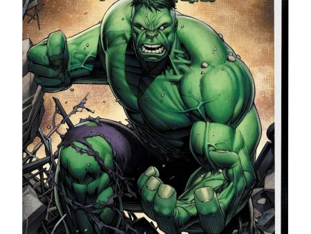 Incredible Hulk By Peter David Omnibus Volume 05  HC - Keown Direct Market Cover Fashion