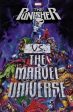 Punisher Vs The Marvel Universe Online Hot Sale