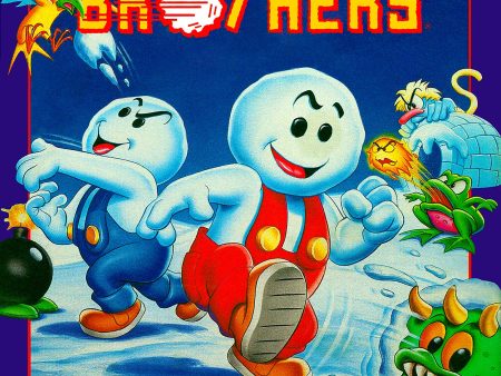 SNOW BROTHERS  - NES (W BOX & MANUAL) Sale