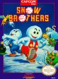 SNOW BROTHERS  - NES (W BOX & MANUAL) Sale