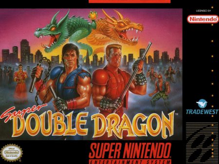 SUPER DOUBLE DRAGON  - SNES (W BOX & MANUAL) Online